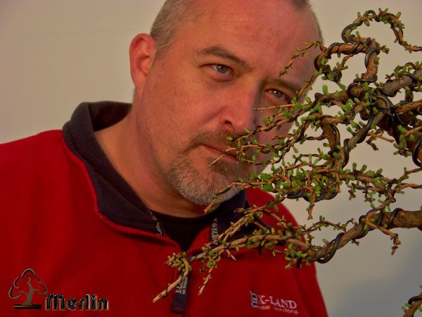 AustriebLärcheMerlinMärz2011_2.jpg
