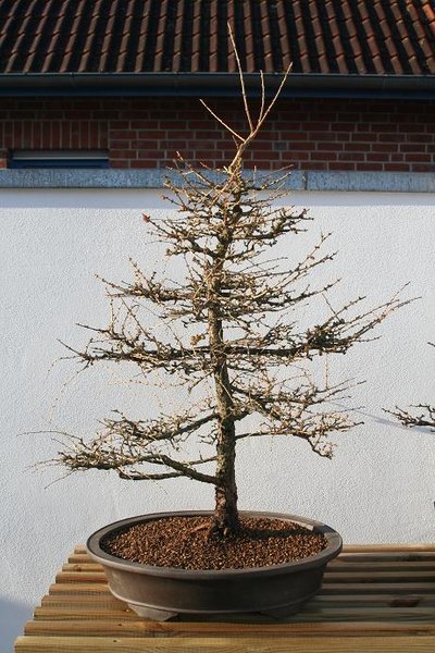 Vorderseite