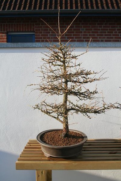 rechte Ansicht