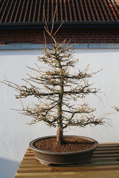 Rückseite