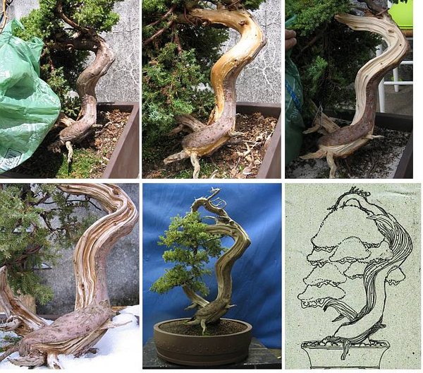 Evolution.jpg