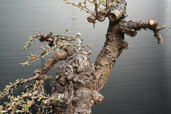 evtl-die-Spitzevom-27.03.2011.jpg