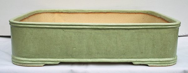 eine schwierige Farbe fürs Foto