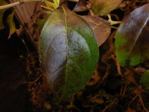 RIMG0025.JPG