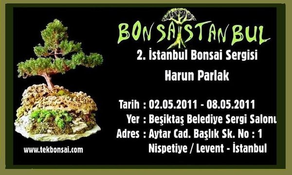 afiş son.jpg
