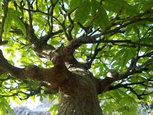 110420111489.jpg