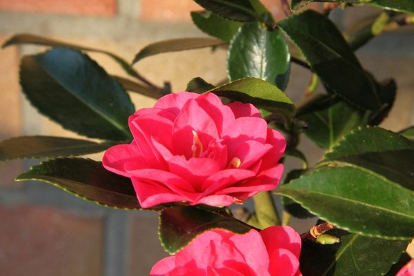 IMG_8860.JPG