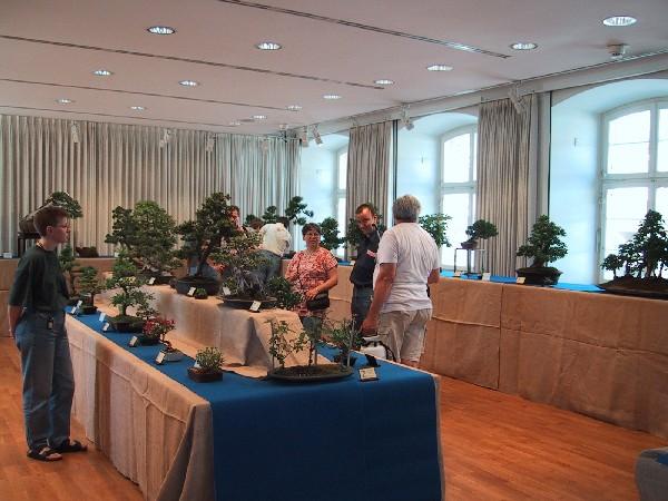 Ausstellung AK Bonsaifreunde Ortenau 2003