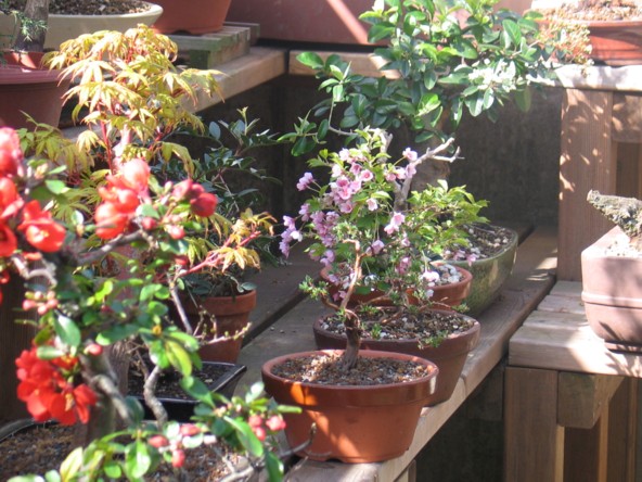garten2011.jpg