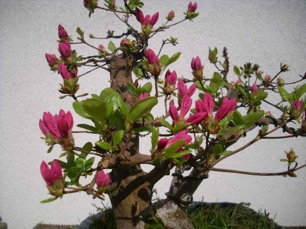 19.4.2011.JPG