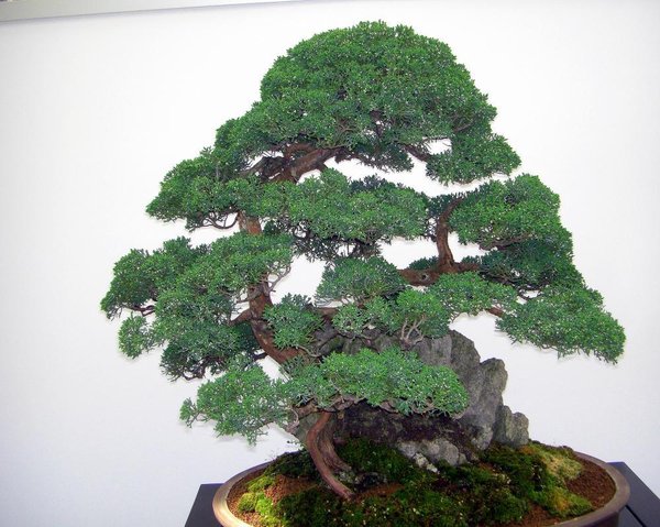 new_CIMG0010.jpg