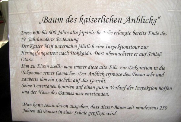 die Erklärung