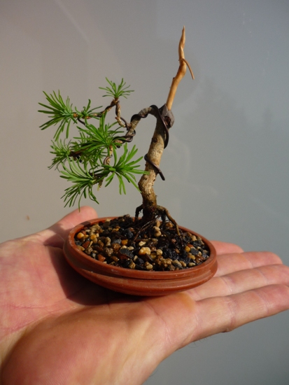 P1010259.JPG