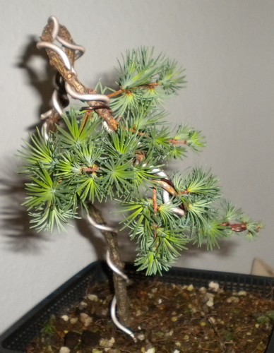 DSCN0670.JPG