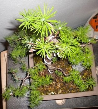 DSCN0660.JPG