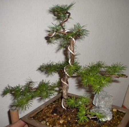DSCN0661.JPG