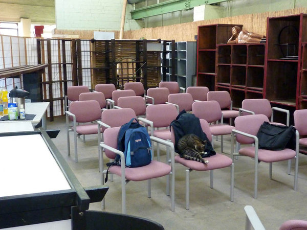 P1000170.JPG