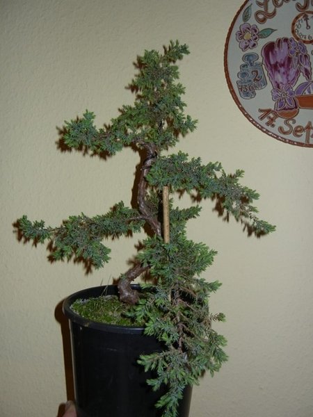 DSCN0466.jpg