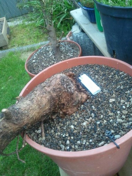 2011-04-29-19-59-50-563.JPG