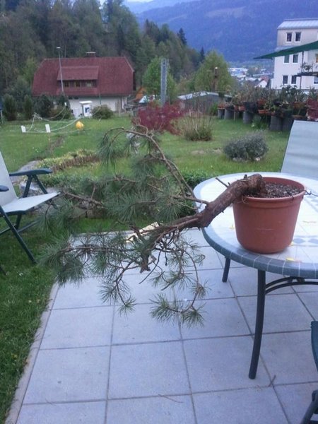 2011-04-29-20-03-55-438.JPG