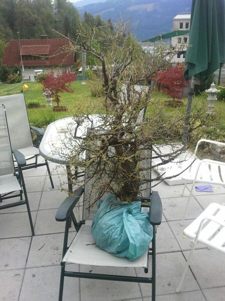 2011-04-29-12-41-55-501.JPG