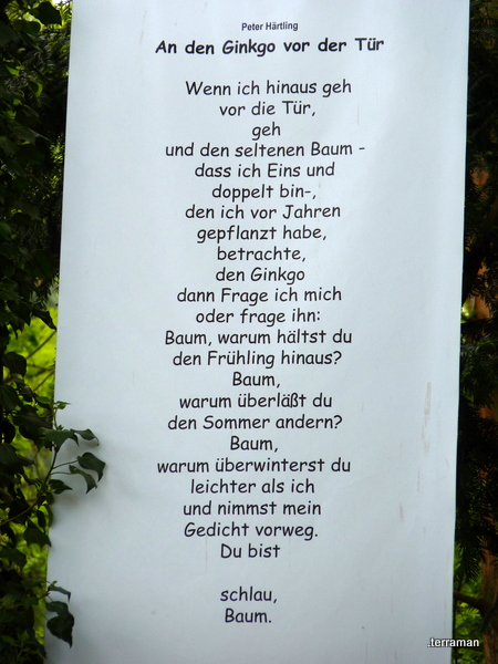 P1120881.JPG