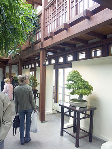im-Haus.jpg