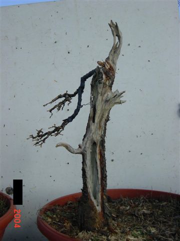 DSC00024.JPG