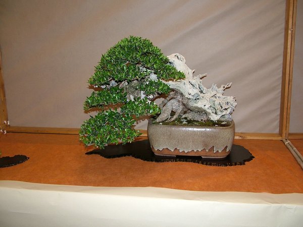 comp_22011_0506Bild0103.jpg
