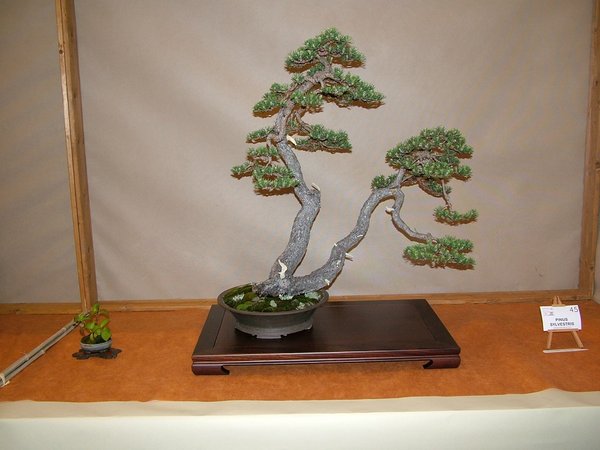 comp_22011_0506Bild0106.jpg