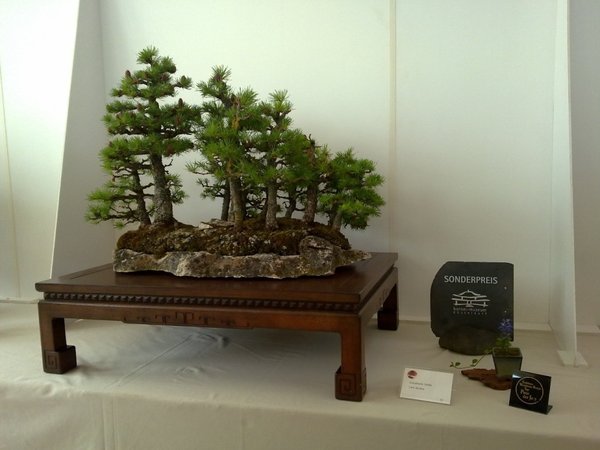 080520111618b.jpg