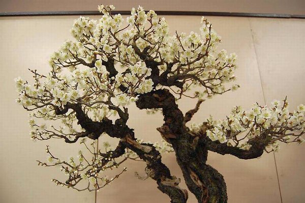 Kokufu Prunus mume composition N°210 c.jpg
