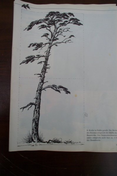 Vorbild - Zeichnung von W.Kohlhepp