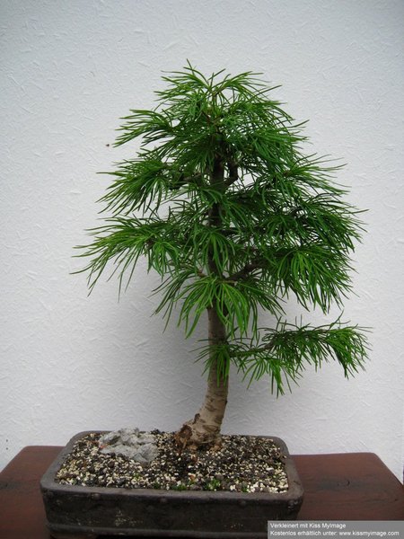 Vorderseite