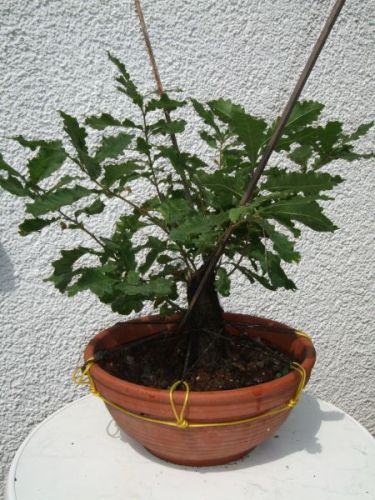 Juni 2010