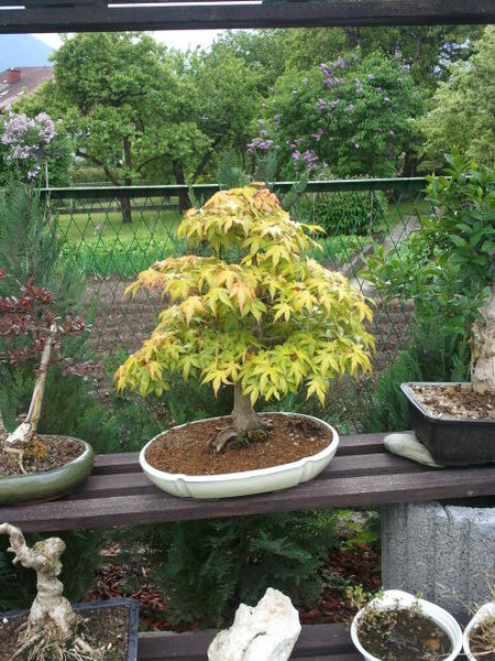 2011-05-16 17_45_41.jpg