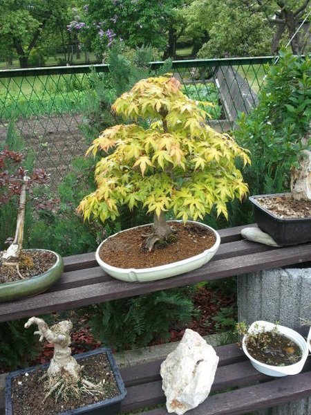 2011-05-16 17_45_55.jpg
