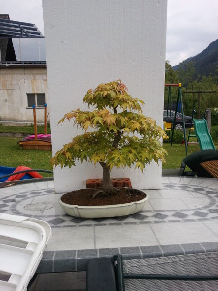 2011-05-16 17_50_31.jpg