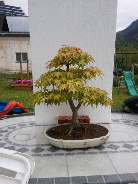 2011-05-16 17_50_58.jpg