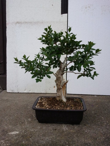 2011-05-16 17_46_41.jpg