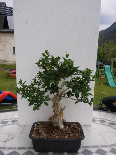 2011-05-16 17_48_47.jpg