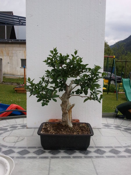 2011-05-16 17_49_51.jpg