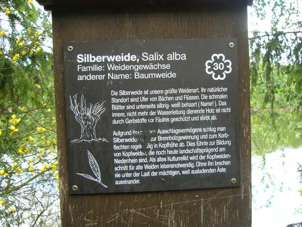 Bild 021.jpg