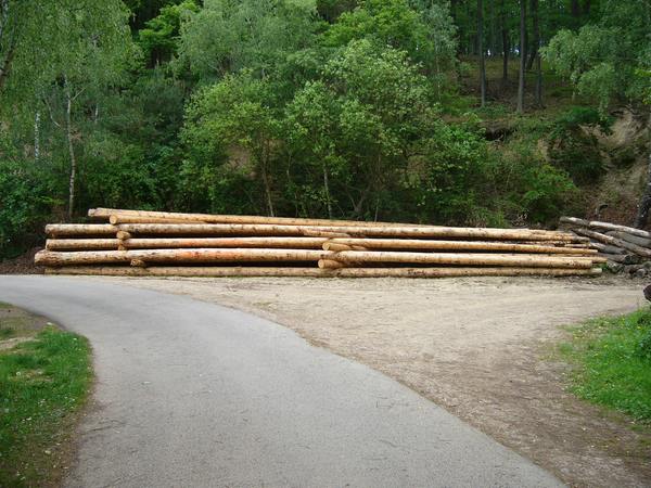 Bild 037.jpg