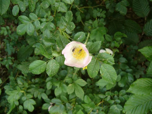 Bild 049.jpg
