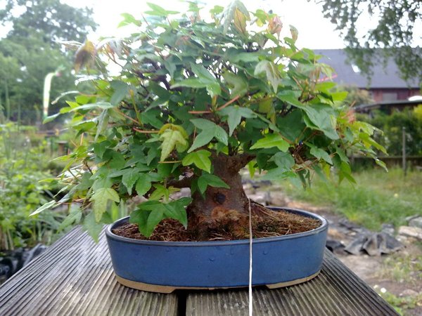 160520111599.jpg