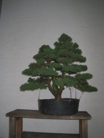 IMG_0962.JPG
