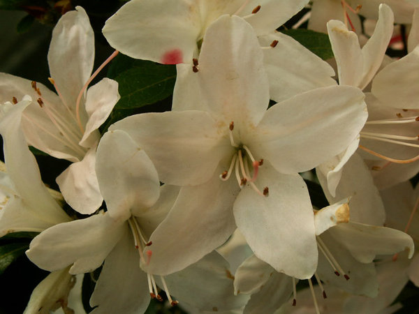 h02.jpg