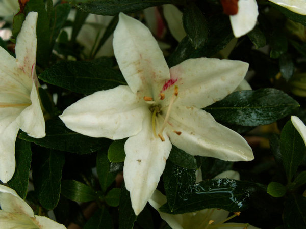 h09.jpg