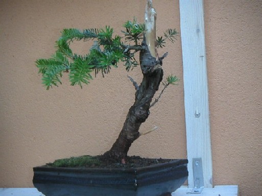 PICT0073.JPG